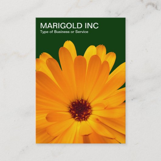 Orange Marigold - Dunkelgrün Visitenkarte (Vorderseite)