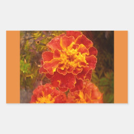 Orange Marigold Fall Morning Dew Sticker