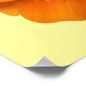 Orange Marigold Good Morning Sunshine Poster (Ecke)