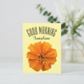Orange Marigold Good Morning Sunshine Postkarte (Stehend Vorderseite)