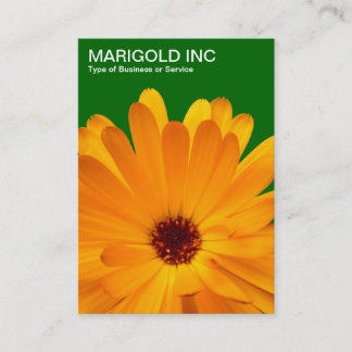 Orange Marigold - Grüne Grüne Visitenkarte