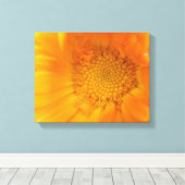 Orange Marigold Macro Canvas Print Leinwanddruck (Insitu (Holzboden))