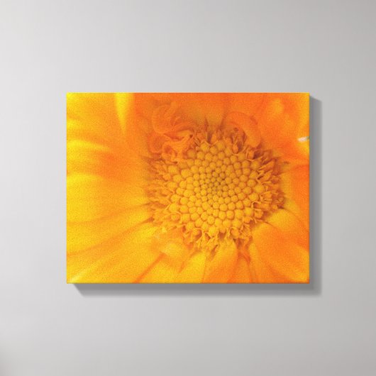 Orange Marigold Macro Canvas Print Leinwanddruck (Vorderseite)