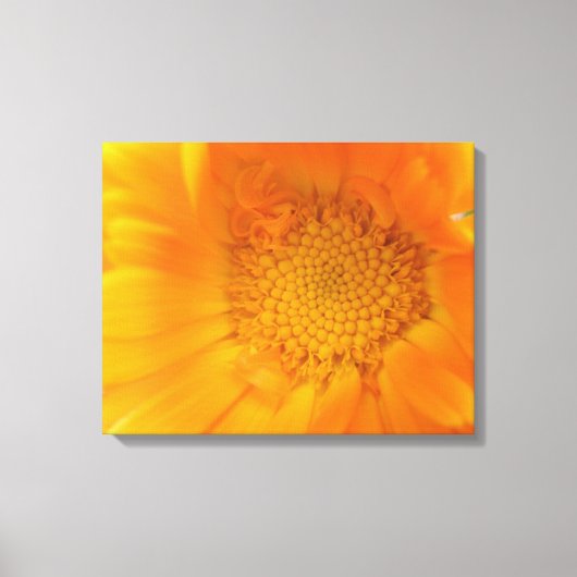 Orange Marigold Macro Canvas Print Leinwanddruck (Vorderseite)