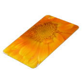 Orange Marigold Macro Premium Magnet (Linke Seite)