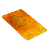 Orange Marigold Macro Premium Magnet (Rechte Seite)
