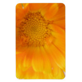 Orange Marigold Macro Premium Magnet (Vertikal)
