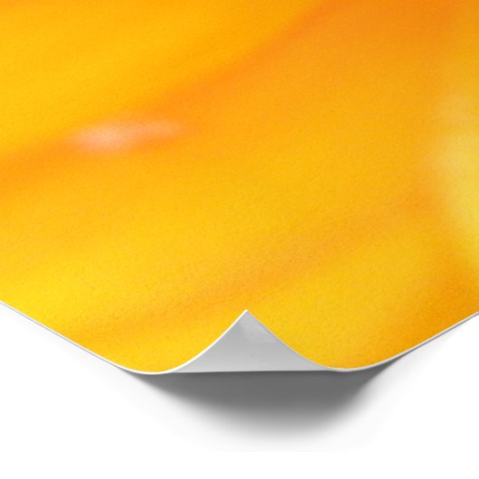 Orange Marigold Macro Print Poster (Ecke)