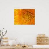 Orange Marigold Macro Print Poster (Küche)