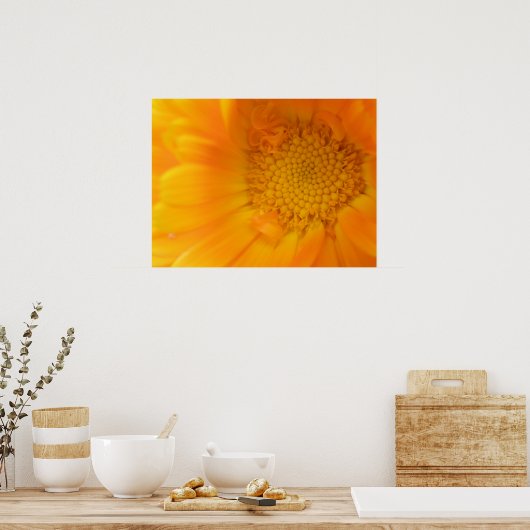 Orange Marigold Macro Print Poster (Küche)