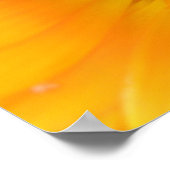 Orange Marigold Macro Print Poster (Ecke)