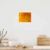 Orange Marigold Macro Print Poster (Küche)