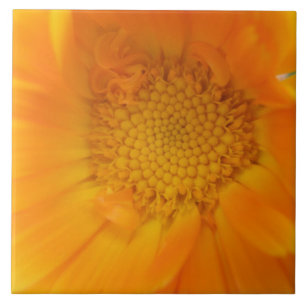 Orange Marigold Macro Tile Fliese