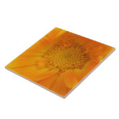 Orange Marigold Macro Tile Fliese (Seite)