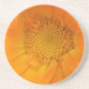 Orange Marigold Macro Untersetzer