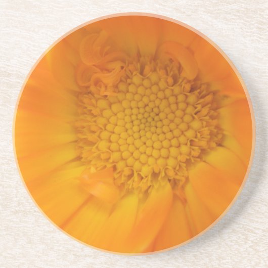 Orange Marigold Macro Untersetzer (Vorne)