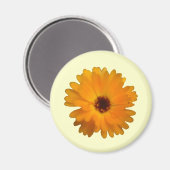 Orange Marigold Magnet (Vorderseite/Rückseite)