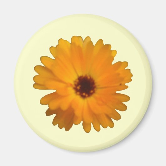 Orange Marigold Magnet (Vorne)