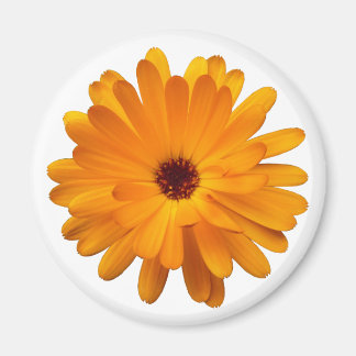 Orange Marigold Magnet