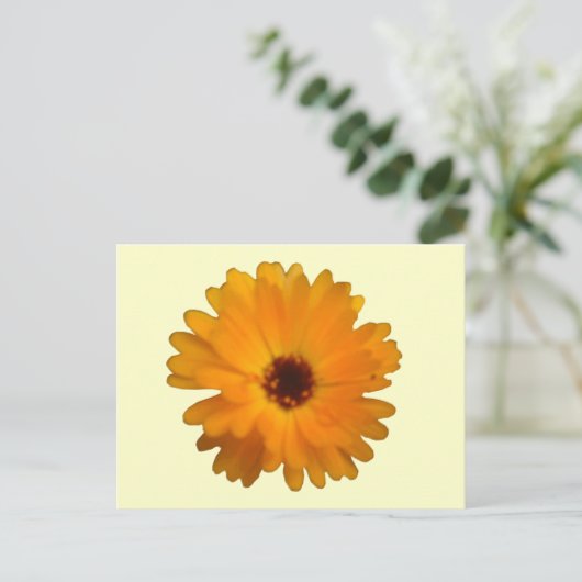 Orange Marigold Postcard Postkarte (Stehend Vorderseite)