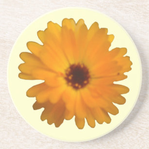 Orange Marigold Untersetzer