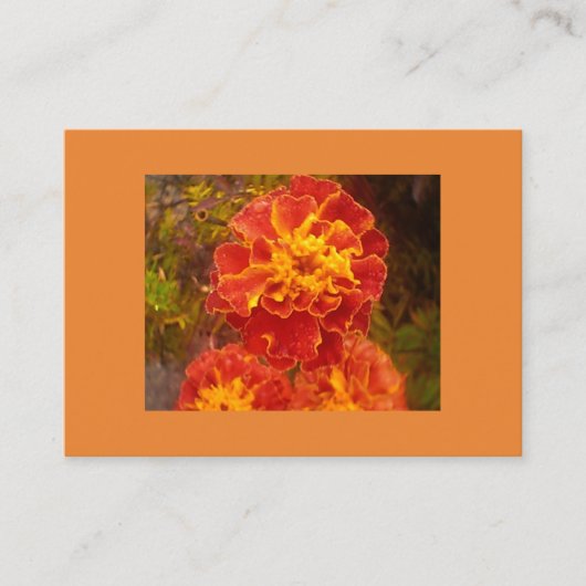 Orange Marigold Visitenkarte (Vorderseite)