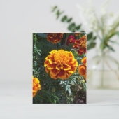Orange Marigolds Vertikal Postkarte (Stehend Vorderseite)