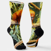 Orange Marmoset, Crew Socken (Gewinkelt)