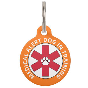 Orange Medical Alert Hund in Training Haustiermarke