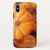 Orange Mini Pumpkins und Gourds Fall Foto Case-Mate iPhone Hülle (Rückseite)