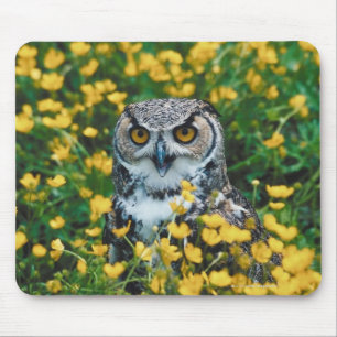 Orange mit Augen Eule in der Wiese der Blumen Mousepad
