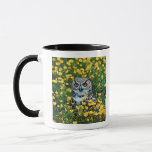 Orange mit Augen Eule in der Wiese der Blumen Tasse