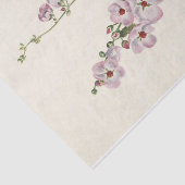 Orange-Mit Augen Globemallow von Mary Vaux Walcott Seidenpapier (Ausschnitt)