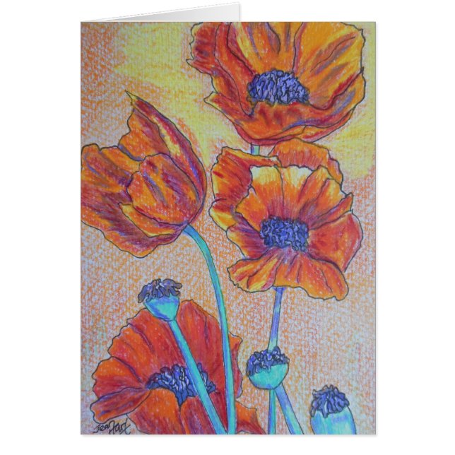 Orange Mohnblumen (Vorne)