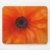 Orange Mohnblumen-Makro Mousepad (Vorne)