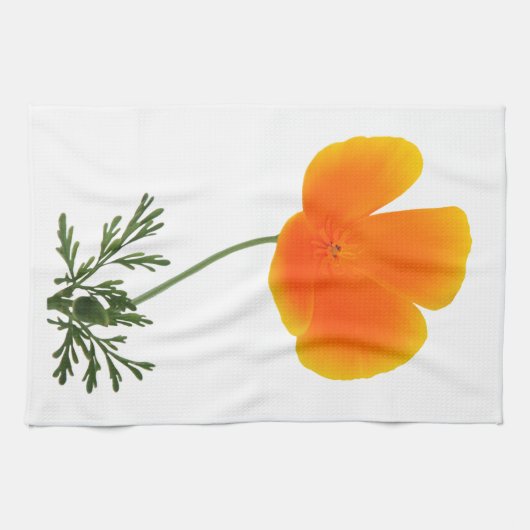 orange Mohnblumenentwurf des Singles auf Tuch (Horizontal)