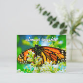 Orange Monarch Butterfly Foto immer funkeln Postkarte (Stehend Vorderseite)