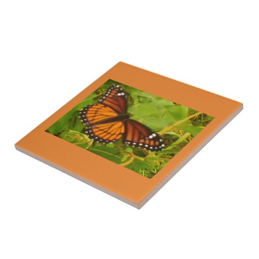 Orange Monarch Fliese (Seite)