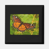 Orange Monarch Magnet (Vorne)