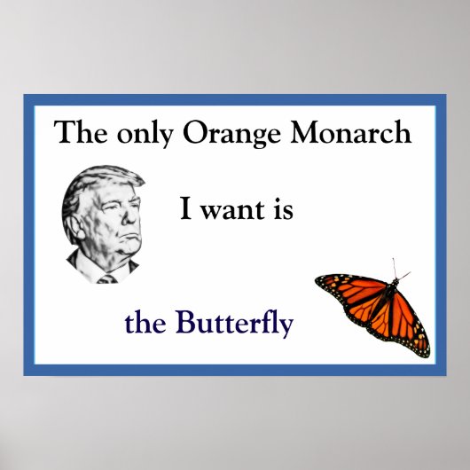 Orange Monarch Poster (Vorne)