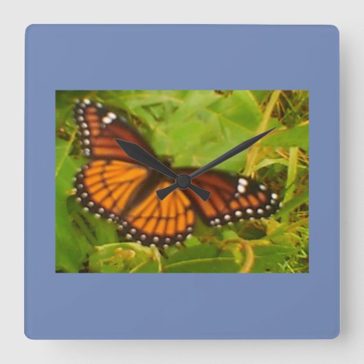 Orange Monarch Quadratische Wanduhr (Vorderseite)