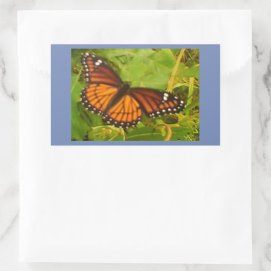 Orange Monarch Rechteckiger Aufkleber (Tasche)