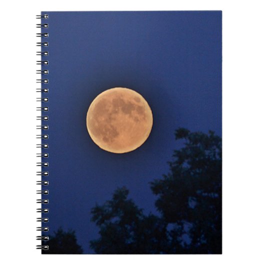Orange Moon Notebook Notizblock (Vorderseite)