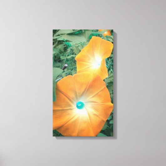 Orange Morning Glories Wrapped Canvas Leinwanddruck (Vorderseite)