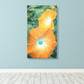 Orange Morning Glories Wrapped Canvas Leinwanddruck (Insitu (Holzboden))