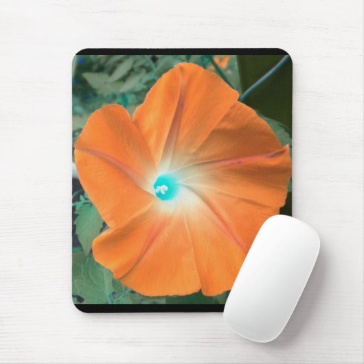 Orange Morning Glory Mousepad (Mit Mouse)