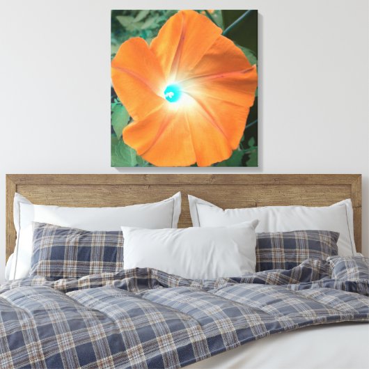 Orange Morning Glory umhüllte Leinwand (Insitu (Schlafzimmer))