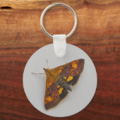Orange Moth Schlüsselanhänger (Vorderseite)