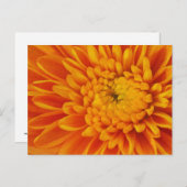 Orange Mum Fall Floral Fotokarte Postkarte (Vorne/Hinten)