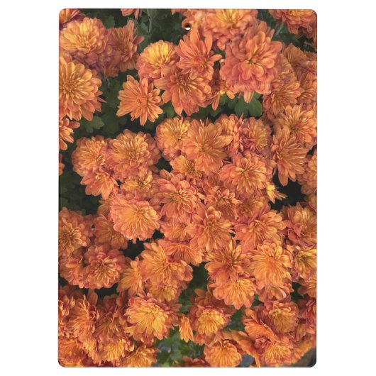 Orange Mums Clipboard Klemmbrett (Rückseite)